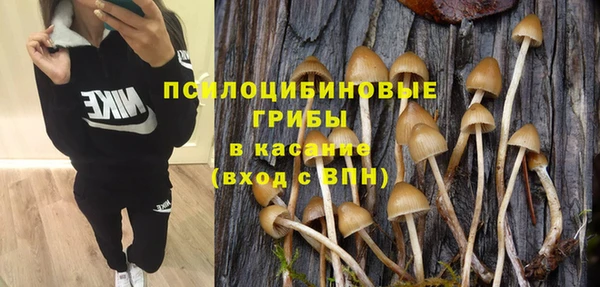шишки Алзамай