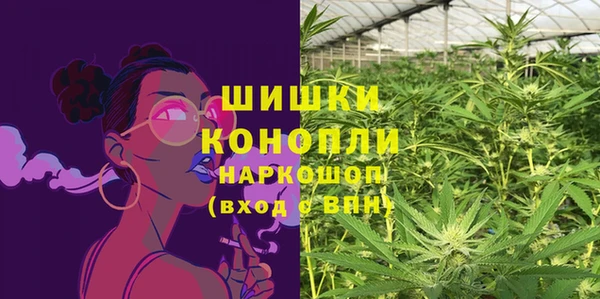 шишки Алзамай