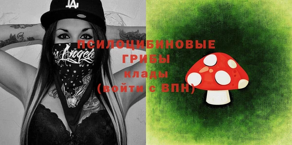 шишки Алзамай