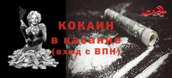 твердый Алексин
