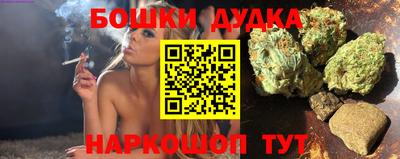 МДПВ Новокубанск