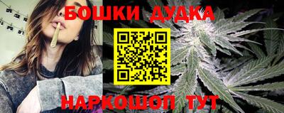 МДПВ Новокубанск