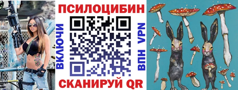 Галлюциногенные грибы GOLDEN TEACHER купить наркотики цена mega как зайти Заинск