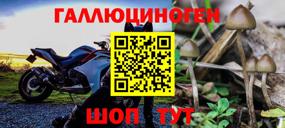 Заинск  Галлюциногенные грибы MAGIC MUSHROOMS  Вход с VPN  где можно купить   Галлюциногенные грибы ЛСД 