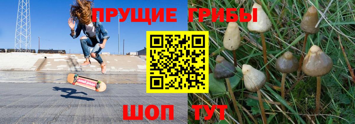 Галлюциногенные грибы мухоморы Заинск