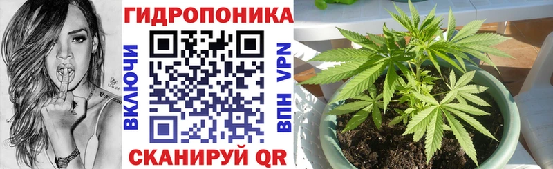 Шишки марихуана марихуана Заинск